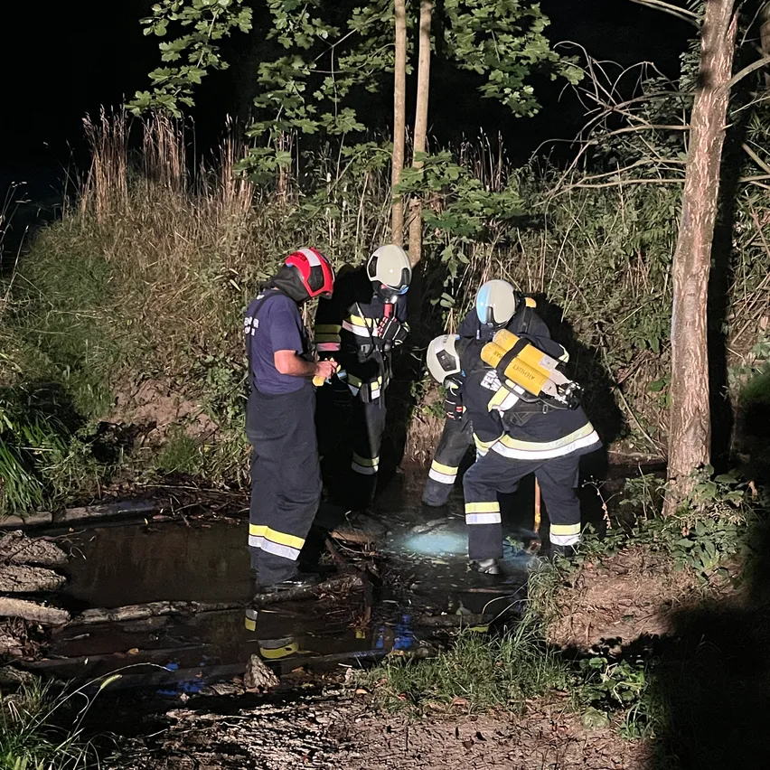 Drei Feuerwehrleute in voller Ausrüstung stehen in einem schlammigen Bereich, möglicherweise zur Untersuchung eines Wasserlecks. Der Bereich ist von Bäumen und Gras umgeben.
