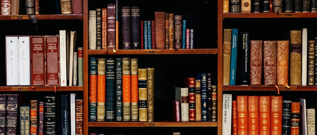 Ein hölzerne Bücherregal gefüllt mit verschiedenen Büchern, darunter alte Klassiker, Hardcover und Taschenbuch. Die Bücher sind ordentlich in Reihen angeordnet und zeigen Titel und Autoren. Der Raum ist schwach beleuchtet.