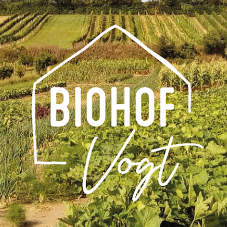 v1_migrated_image_44786640