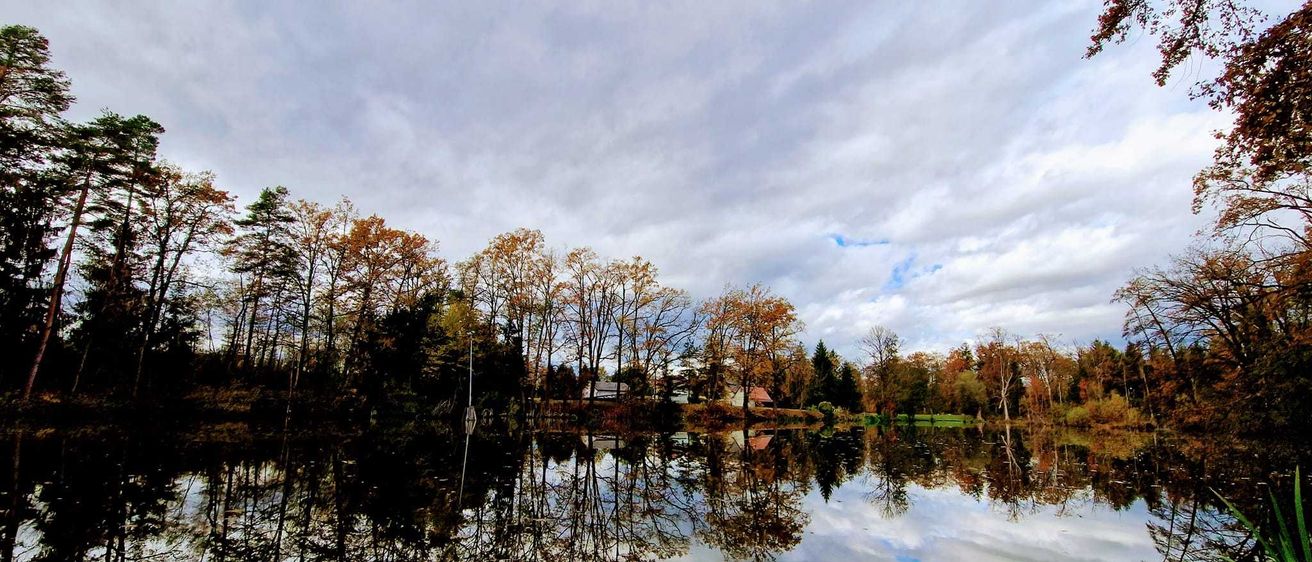 Bild enthält, Nature, Outdoors, Pond, Water, Land, Vegetation, Tree, Wilderness, Woodland, Swamp
