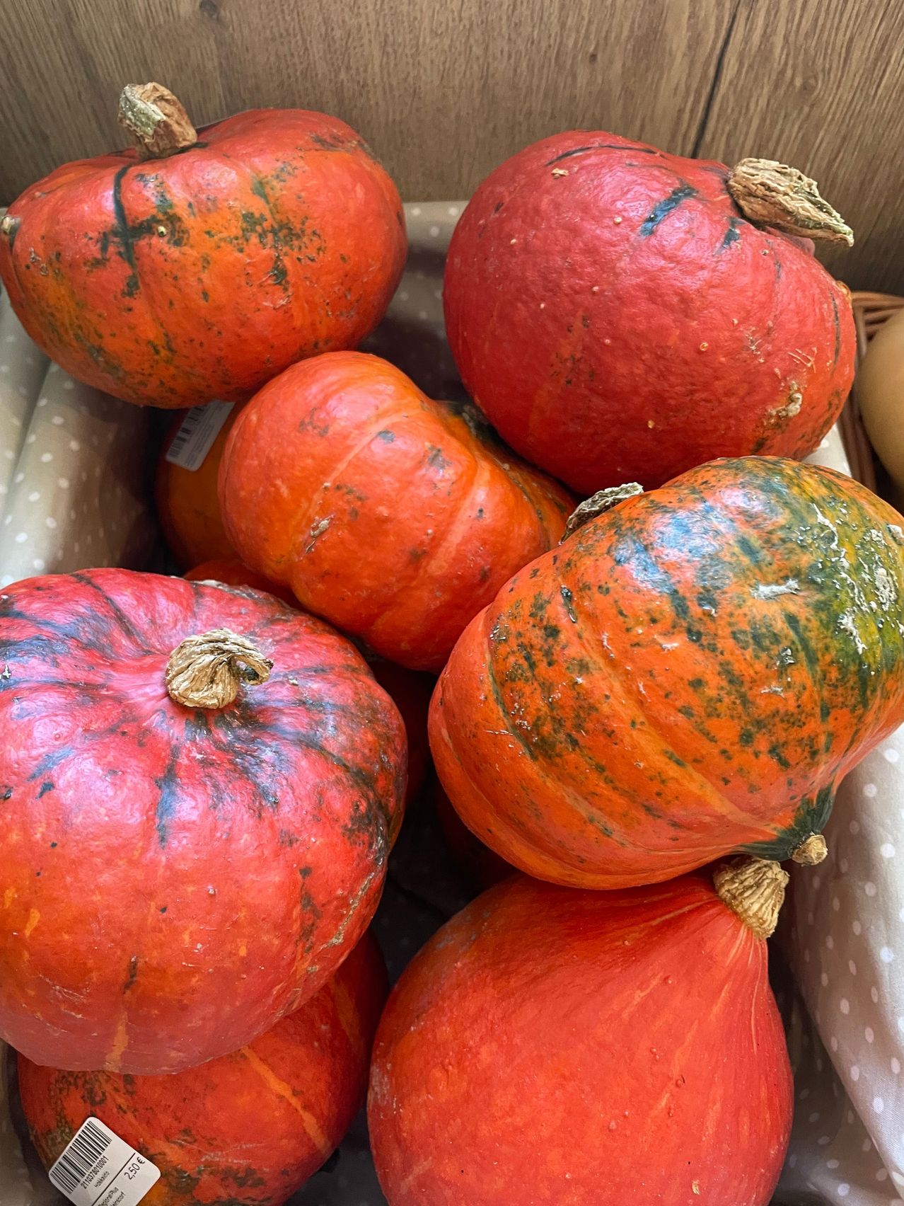 A close-up view of several red pumpkins with green spots and black stems in a white polka-dot basket.