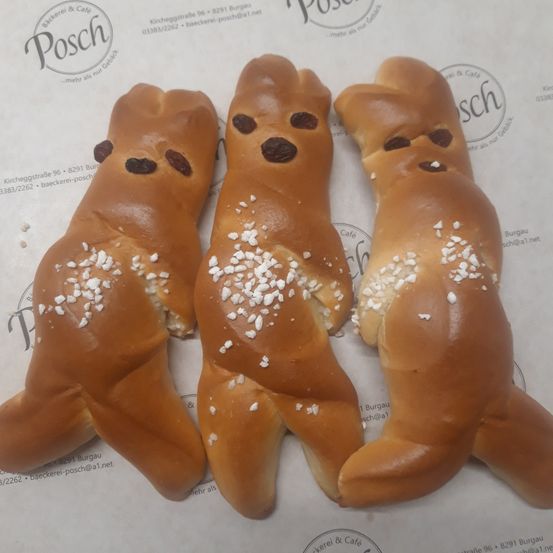 Bild enthält, Bread, Food, Animal, Canine, Dog, Mammal, Pet, Bun