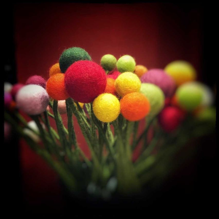 Bild enthält, Sphere, Art, Food, Orange, Sweets, Tennis Ball