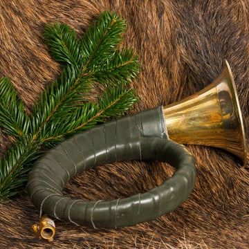 Bild enthält, Brass Section, Horn, Musical Instrument, Bugle, Axe, Tool, Weapon, Plant, Tree, Smoke Pipe