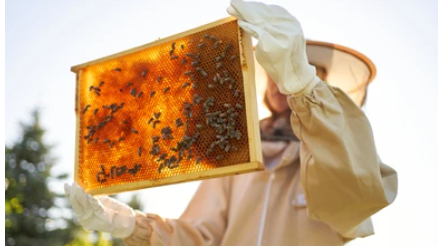 v1_migrated_image_59895794