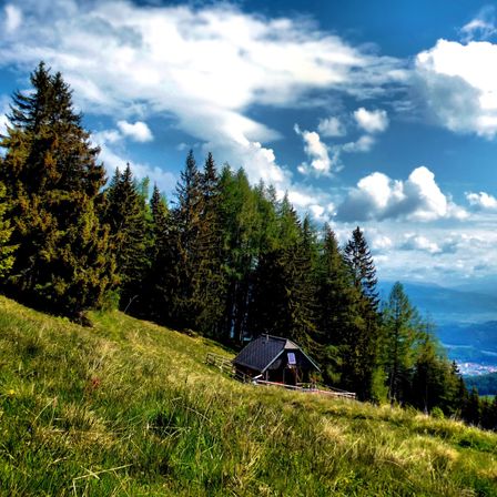 Ein kleines Haus an einem Hügel mit hohen Bäumen unter einem blauen Himmel mit Wolken.