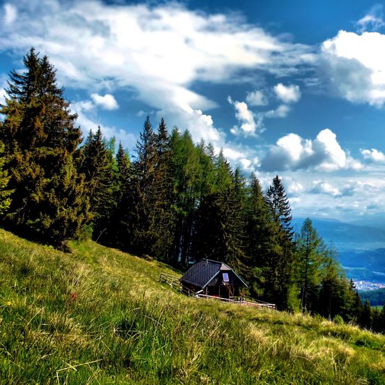 Ein kleines Haus an einem Hügel mit hohen Bäumen unter einem blauen Himmel mit Wolken.