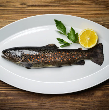 Bild enthält, Food, Food Presentation, Animal, Fish, Sea Life, Trout