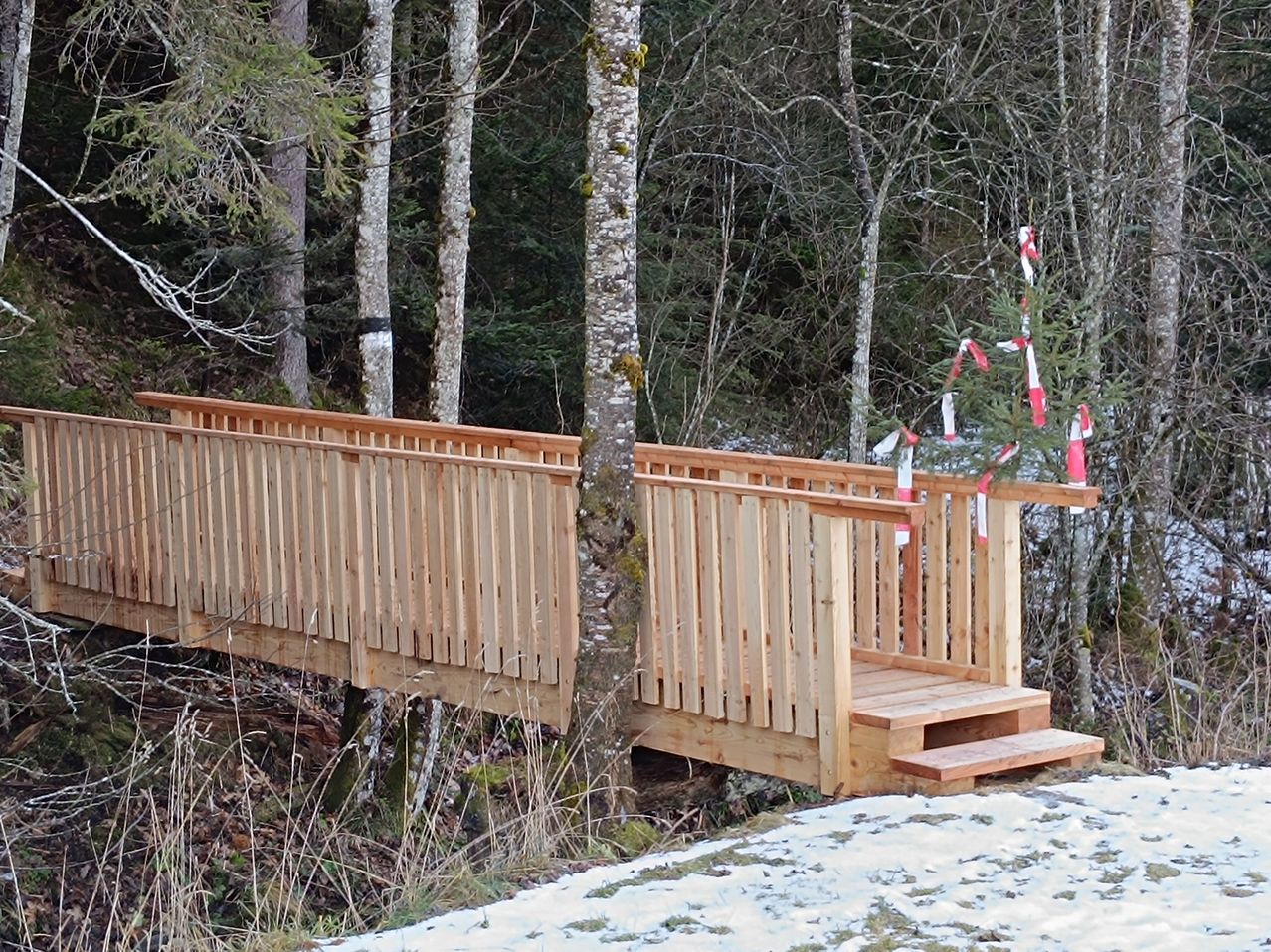 Eine Holzbrücke mit Stufen führt in einen verschneiten Wald mit kahlen Bäumen und Moos am Boden.