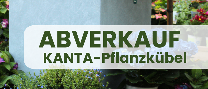 Bild enthält, Jar, Plant, Planter, Potted Plant, Pottery, Vase, Garden, Nature, Outdoors, Flower