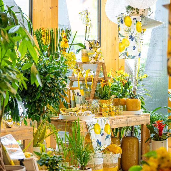 Bild enthält, Indoors, Interior Design, Flower, Flower Arrangement, Plant, Flower Bouquet, Leaf, Potted Plant, Restaurant, High Heel