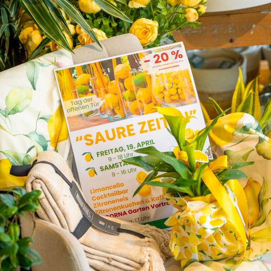 Bild enthält, Advertisement, Herbal, Plant, Potted Plant, Poster, Flower, Flower Arrangement, Flower Bouquet, Fruit, Produce