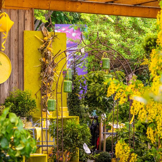 Bild enthält, Garden, Nature, Outdoors, Patio, Arbour, Interior Design, Porch, Plant, Potted Plant, Flower