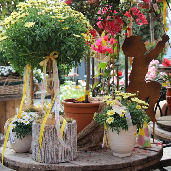 Bild enthält, Flower, Flower Arrangement, Plant, Flower Bouquet, Cookware, Pot, Potted Plant, Ikebana, Geranium, Handbag