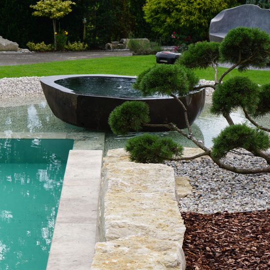 Bild enthält, Backyard, Outdoors, Walkway, Flagstone, Slate, Grass, Plant, Tub, Pool, Water