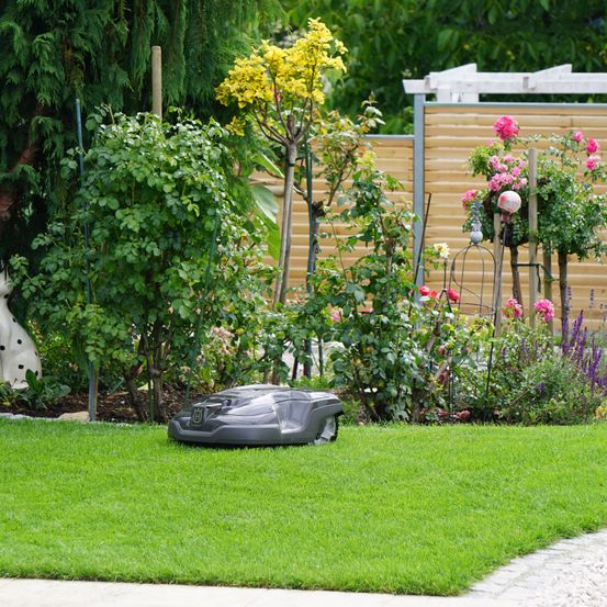 Bild enthält, Grass, Backyard, Nature, Outdoors, Yard, Lawn, Garden, Person, Car, Cat