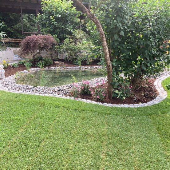 Bild enthält, Backyard, Nature, Outdoors, Yard, Grass, Plant, Garden, Lawn, Person, Pond