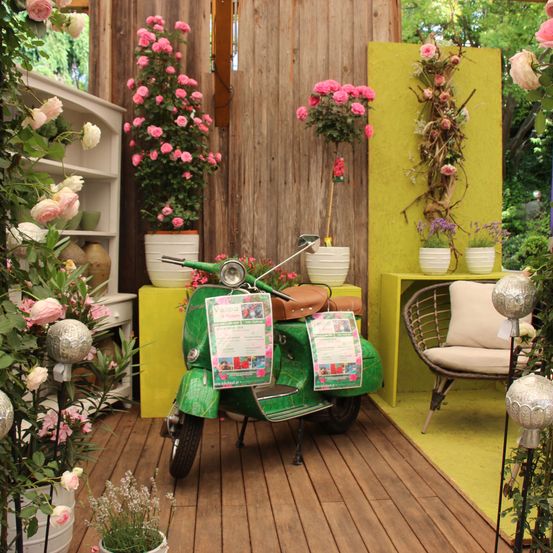 Bild enthält, Flower, Flower Arrangement, Chair, Potted Plant, Flower Bouquet, Rose, Porch, Garden, Motorcycle, Wood