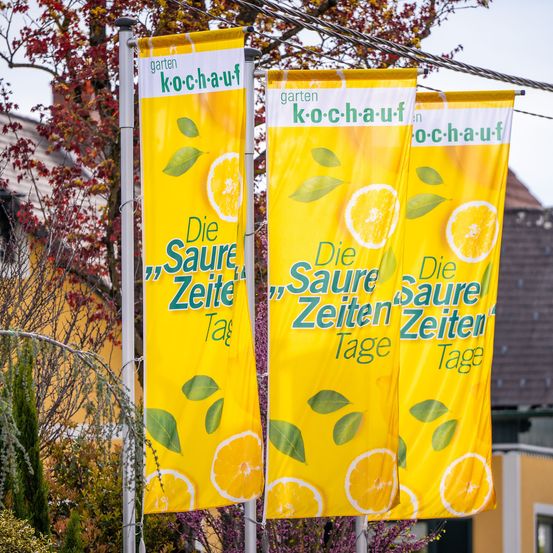 Bild enthält, Banner, Text, Advertisement