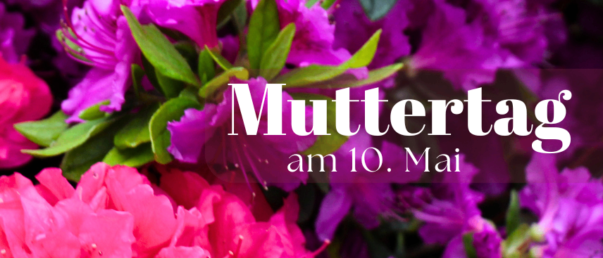 Ein Nahaufnahme von leuchtenden rosa und lila Blumen, wahrscheinlich Azaleen, mit grünen Blättern, die einen strukturierten Blumenhintergrund bilden.