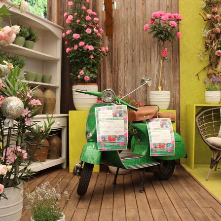 Bild enthält, Flower, Flower Arrangement, Plant, Potted Plant, Flower Bouquet, Chair, Wheel, Porch, Wood, Motorcycle