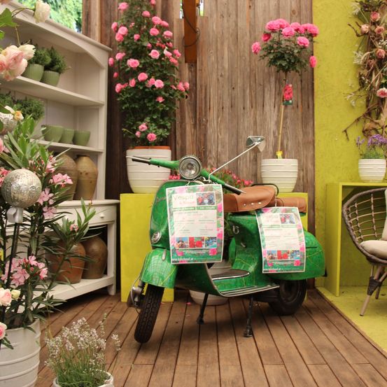 Bild enthält, Flower, Flower Arrangement, Plant, Potted Plant, Flower Bouquet, Chair, Wheel, Porch, Wood, Motorcycle