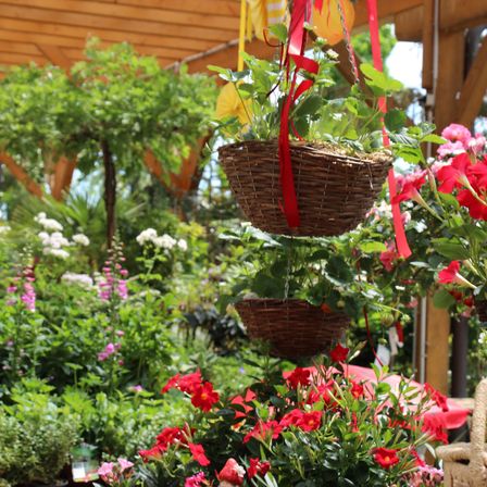 Bild enthält, Garden, Nature, Outdoors, Flower, Geranium, Flower Arrangement, Potted Plant, Flower Bouquet, Herbs, Chair