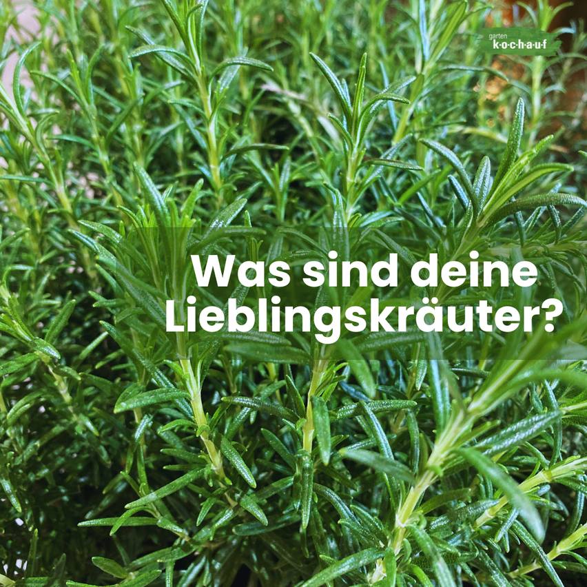 Bild enthält, Herbal, Herbs, Plant, Tree