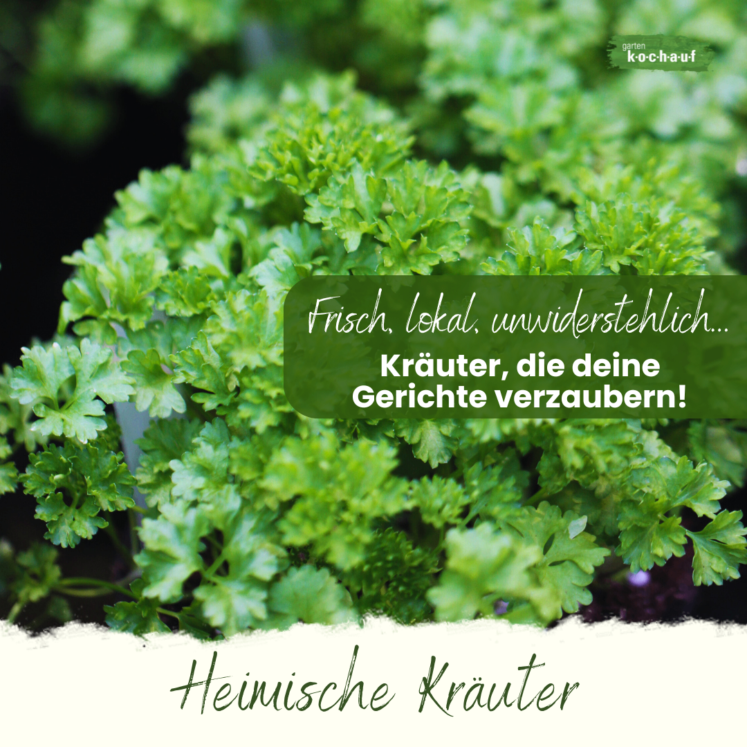 Bild enthält, Herbs, Plant, Parsley