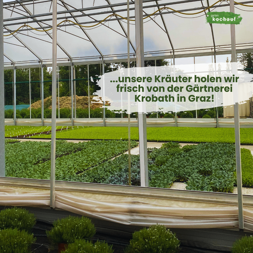 Bild enthält, Garden, Nature, Outdoors, Gardening, Greenhouse, Plant, Vegetation, Architecture, Building