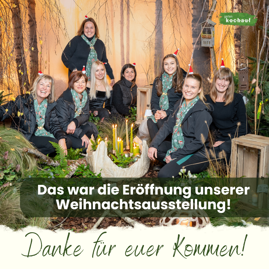 Bild enthält, People, Person, Adult, Female, Woman, Photography, Face, Portrait, Potted Plant, Flower Arrangement