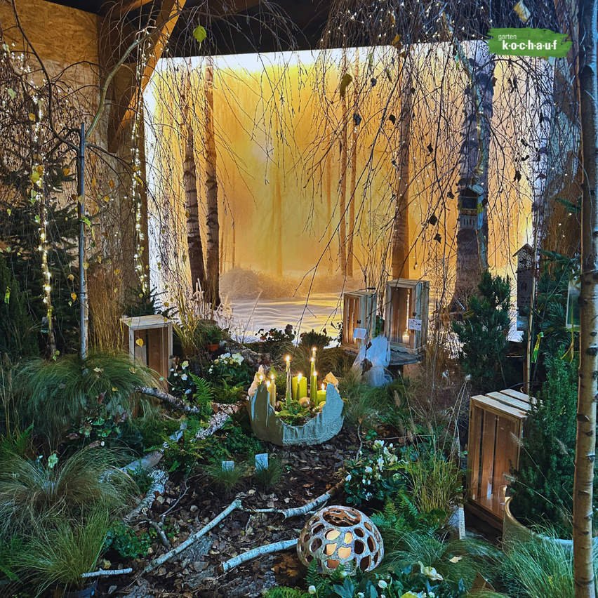 Bild enthält, Backyard, Nature, Outdoors, Yard, Hotel, Garden, Tree, Porch, Resort, Interior Design