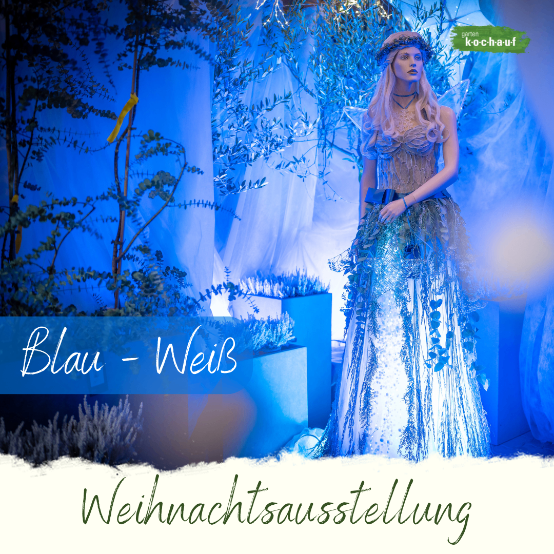 Bild enthält, Clothing, Dress, Formal Wear, Person, Fashion, Gown, Evening Dress, Face, Head, Toy