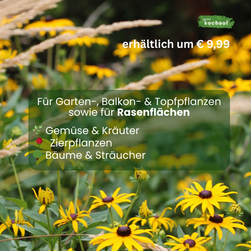 Ein Gartenbild mit gelben Blumen und grünen Blättern. Der Text auf dem Bild lautet 'erhältlich um € 9,99' und 'Für Garten Balkon Topfpflanzen'. Das Bild ist eine Werbung für Gartenpflanzen.
