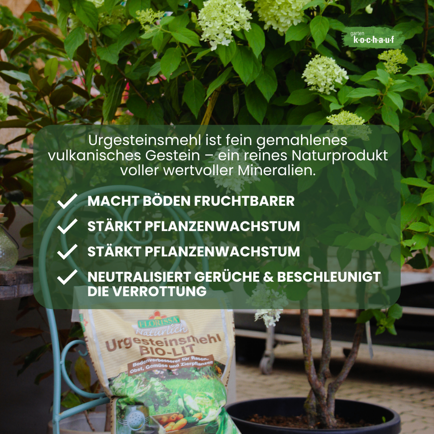 Ein Poster zeigt eine Pflanze mit üppigen grünen Blättern und weißen Blüten. Der Text betont, dass Urgensteinsmehl ein fein gemahlenes vulkanisches Gestein ist, ein reines Naturprodukt voller wertvoller Mineralien. Das Poster listet Vorteile auf, wie die Bodenfruchtbarkeit, die Stärkung des Pflanzenwachstums, die Geruchsneutralisierung und die Verhinderung der Verrottung.