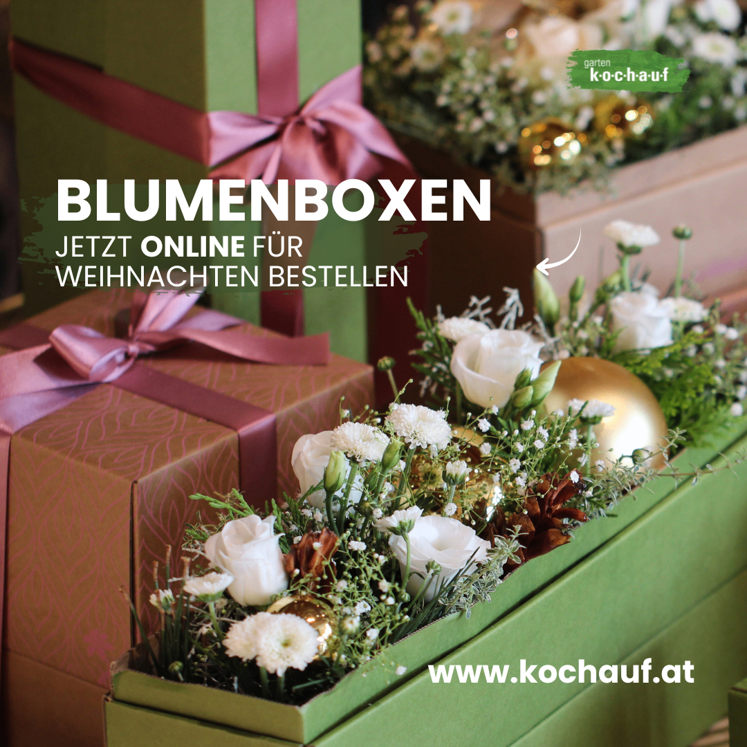 Eine grüne Box mit Blumen und Tannenzapfen steht in der Mitte. Der Text 'Blumenboxen' ist darüber geschrieben. Drei Geschenkboxen sind darum angeordnet. Das Bild hat einen unscharfen Hintergrund.