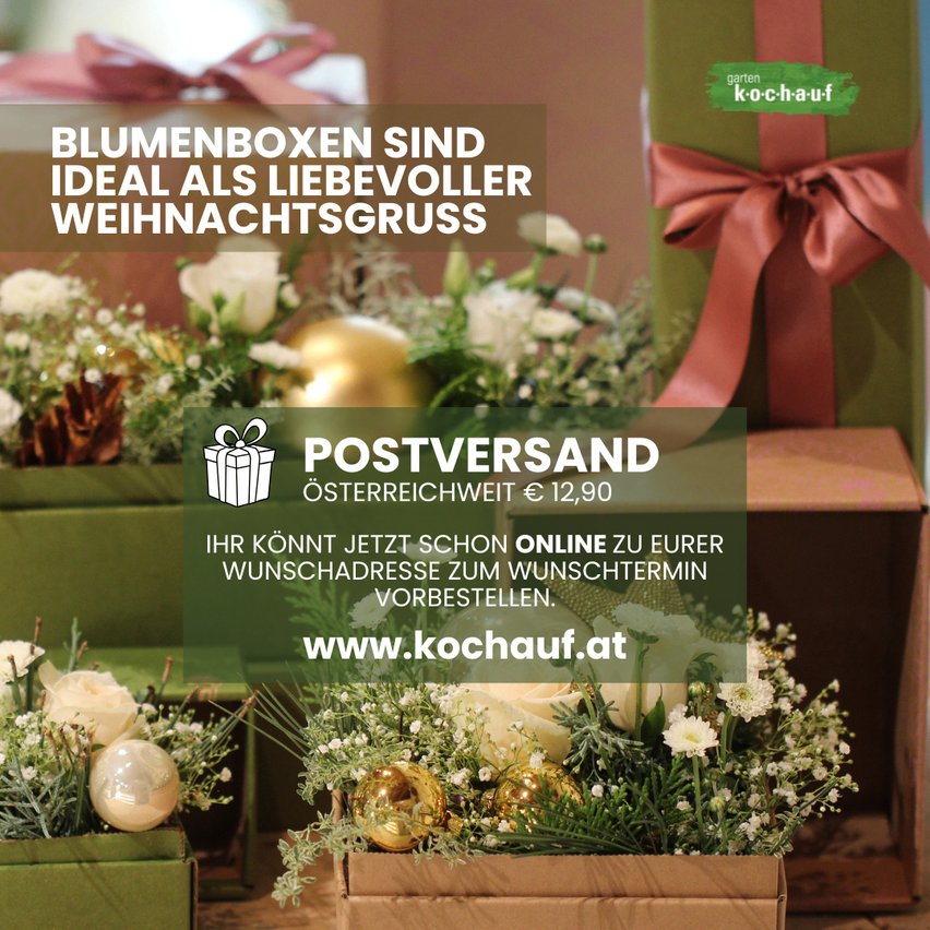 Eine Werbeanzeige für Blumenboxen als Weihnachtsgruß, zum Preis von 12,90 Euro. Das Bild zeigt mehrere Blumenboxen mit Schleifen und Blumen. Die Website ist www.kochauf.at.