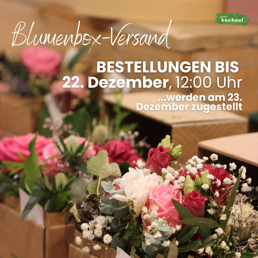 Blumenboxen werden geliefert. Bestellungen werden bis 12:00 Uhr am 22. Dezember angenommen.