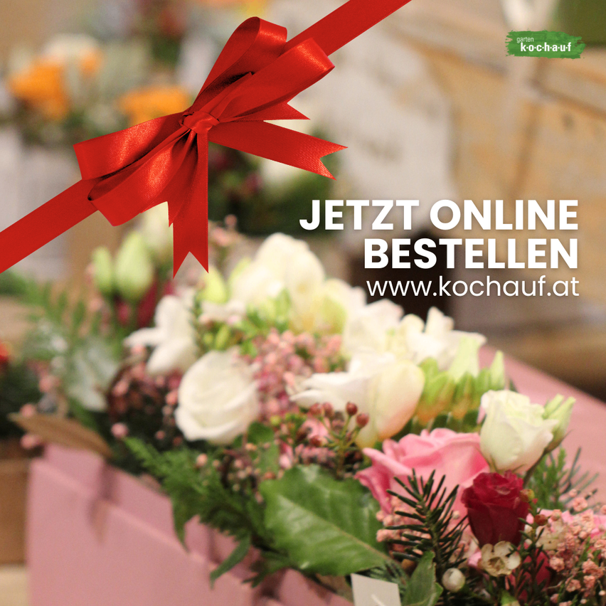 Werbung für Online-Blumenbestellungen mit einem Strauß aus roten und weißen Rosen und anderen Blumen. Der Text lautet 'JETZT ONLINE BESTELLEN' und leitet zu www.kochauf.at.
