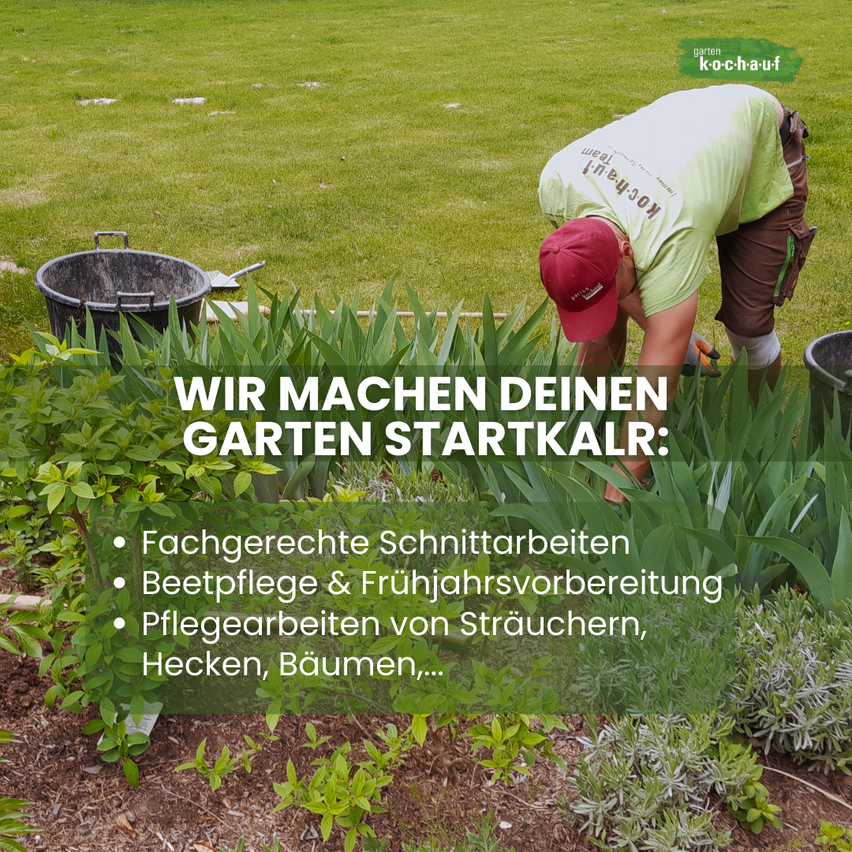 Eine Person in einem grünen Shirt und einer roten Kappe arbeitet in einem Garten. Aufgaben umfassen Schneiden, Frühjahrsvorbereitung und Pflege von Sträuchern, Hecken und Bäumen. Es gibt zwei Eimer und ein Werkzeug auf dem Boden.