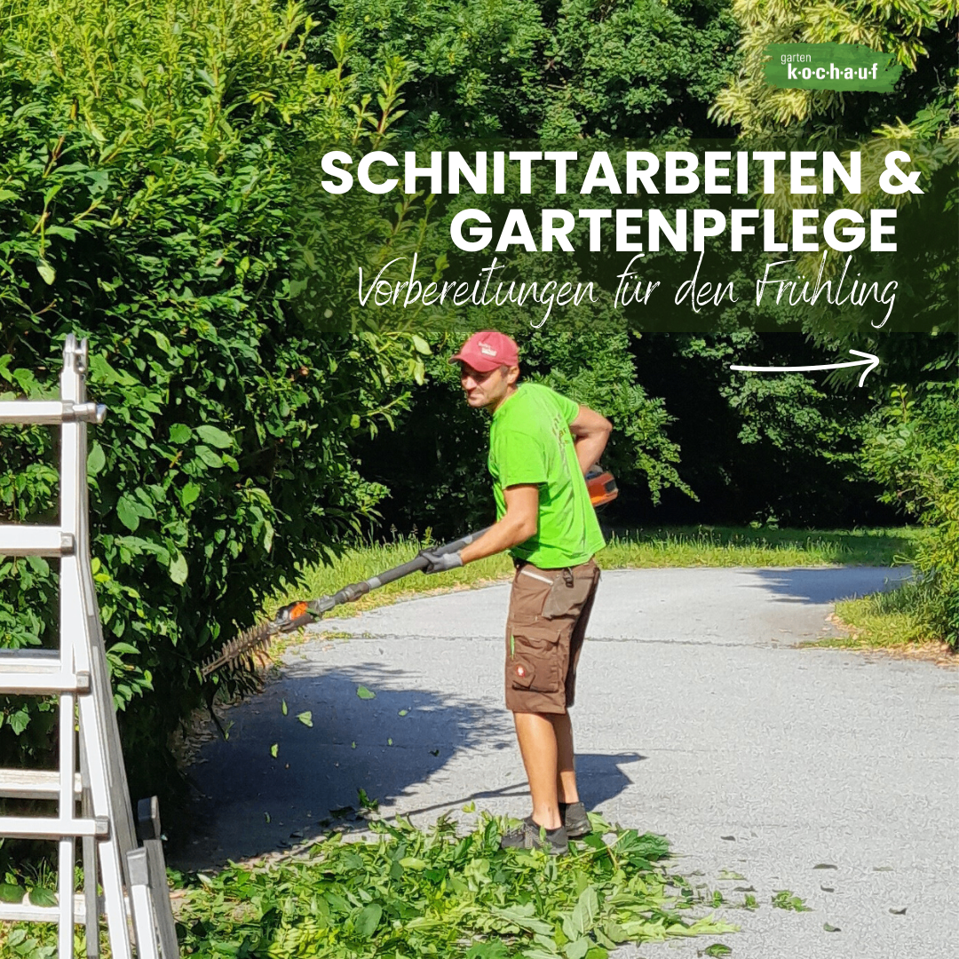 Ein Mann in einem grünen T-Shirt und braunen Shorts benutzt einen Heckenschneider, um einen Busch zu schneiden, mit einer Leiter in der Nähe und einer Straße dahinter.