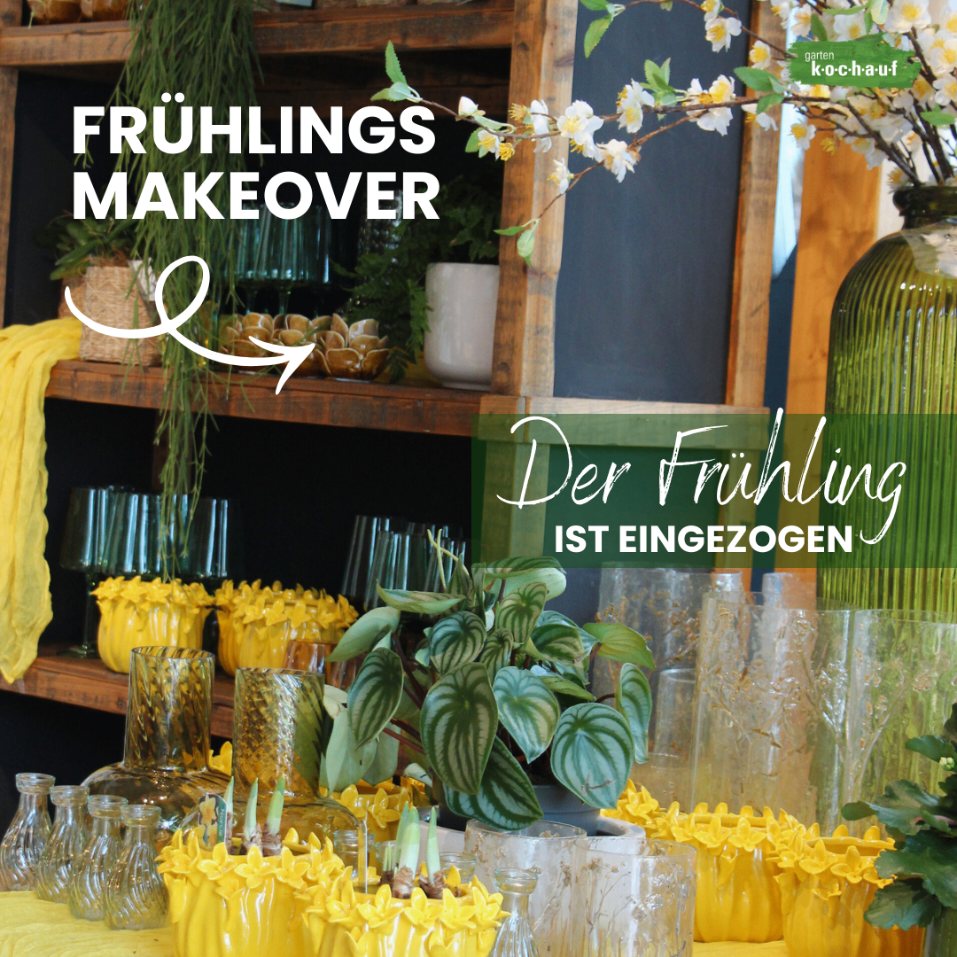 Ein frühlingshaftes Makeover mit gelben Blumen und Glasvasen. Ein Holzregal mit Pflanzen und einer Tafel. Der Text in Deutsch darüber lautet 'Der Frühling ist gekommen.'