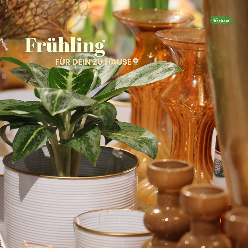 Eine Zimmerpflanze mit bunten Blättern steht im Vordergrund, umgeben von dekorativem Glas. Im Hintergrund befindet sich ein Banner mit dem Wort 'Fruhling' und einer Blumenikone. Das Thema ist Frühling.