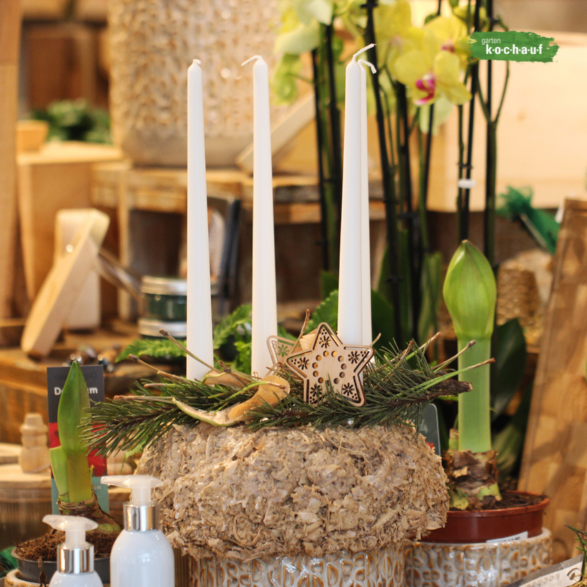 A holiday centerpiece with three white candles and a star-shaped ornament on a pine cone arrangement. Behind it, there are various plants and wooden boxes.