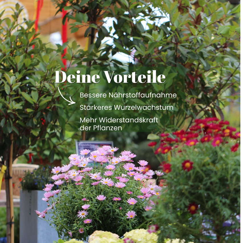 An image with plants and text stating 'Your advantages'. Below the title are bullet points about better nutrient uptake, stronger root growth, and increased plant resilience.