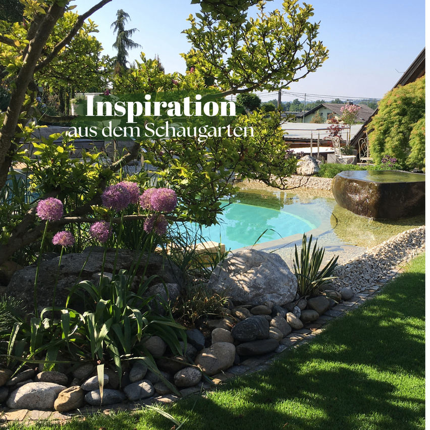 A garden with a swimming pool surrounded by rocks and plants. Trees and flowers are above the pool, and there is a house in the distance.