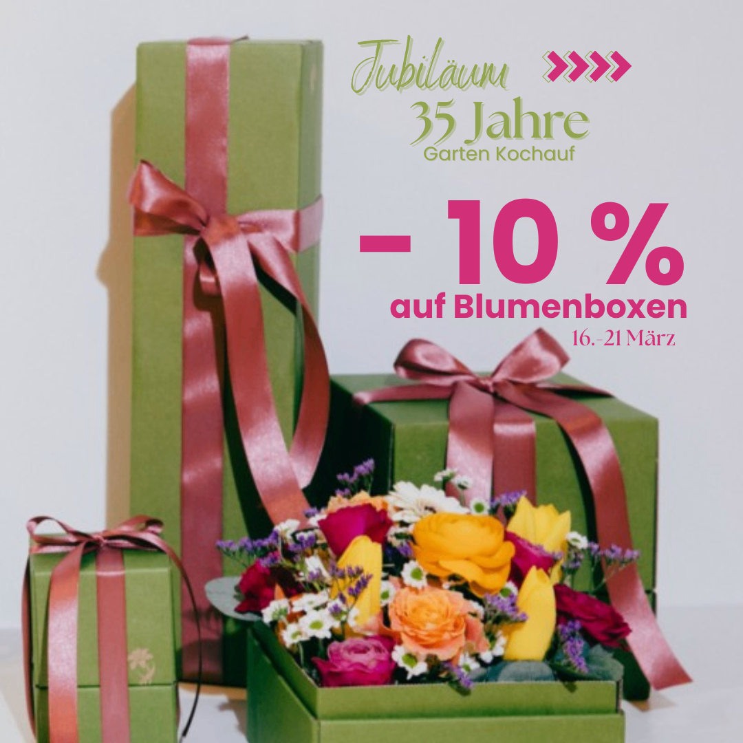 Drei grüne Geschenkboxen mit rosa Schleifen sind zu sehen, darunter ein Strauß bunter Blumen. Der Text lautet '35 Jahre' und '10% Rabatt auf Blumenboxen'. Das Datum ist vom 16. bis 21. März.