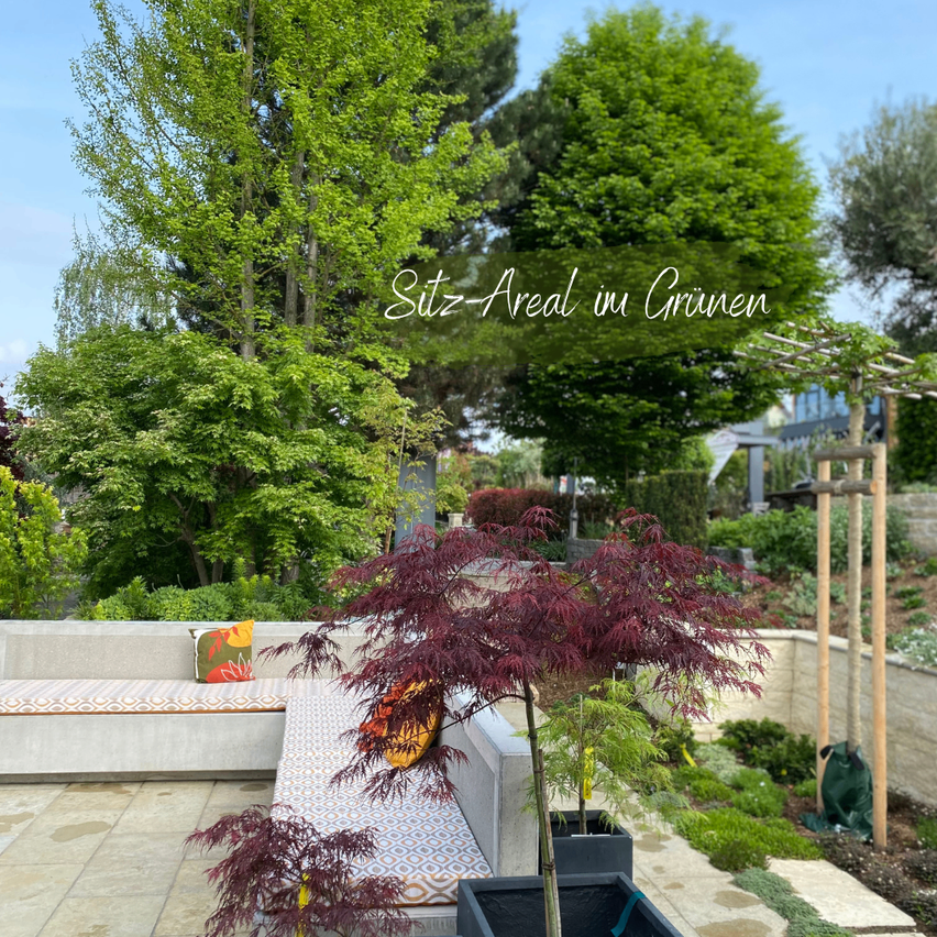 A garden scene with a bench, a red maple tree, and a text overlay reading 'Sitz-Areal in Grün'. The bench is cushioned and has decorative pillows. The garden is lush with greenery and a clear blue sky.