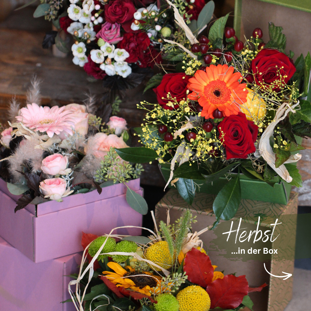 Drei Blumenarrangements in lila und braunen Boxen. Das erste hat rosa und weiße Blumen, das zweite hat rote und orange Blumen mit gelben Blättern und das dritte hat gelbe und grüne Früchte mit roten Blättern.