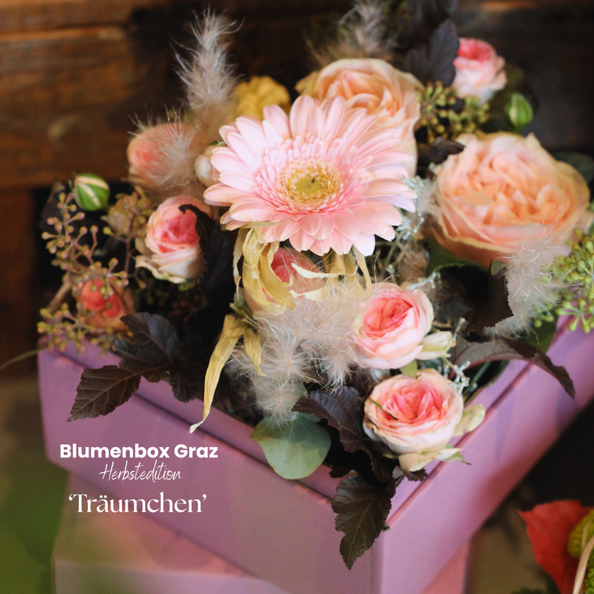 Eine pinke Box, gefüllt mit einem Strauß aus rosa und pfirsichfarbenen Blumen, darunter Rosen, Gänseblümchen und Blätter, mit einem überlagerten weissen Text, der 'Blumenbox Graz Herbstedition Träumchen' lautet.